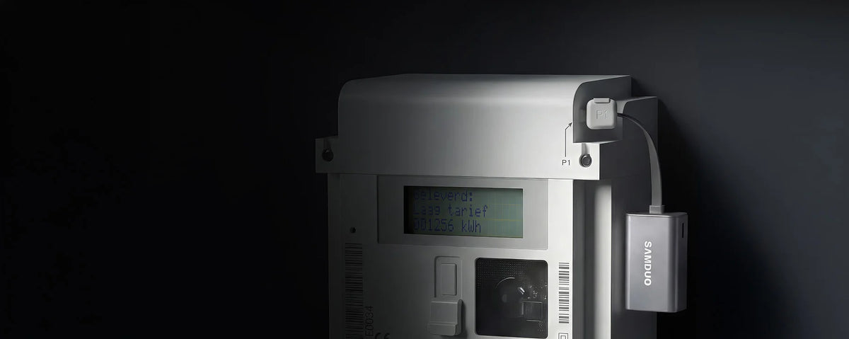 P1 Meter Seamless Integration
