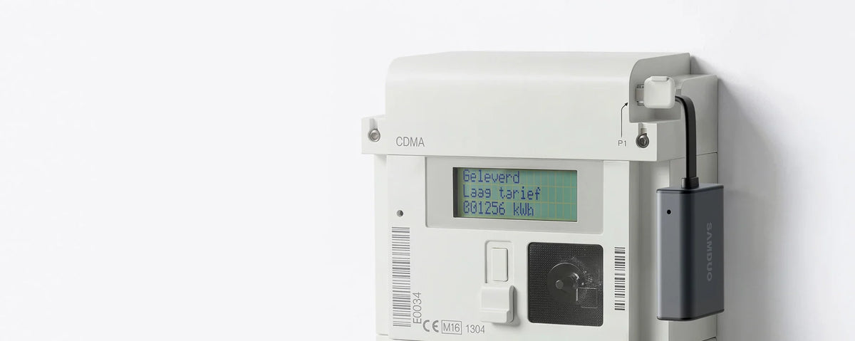 P1 Meter Seamless Integration