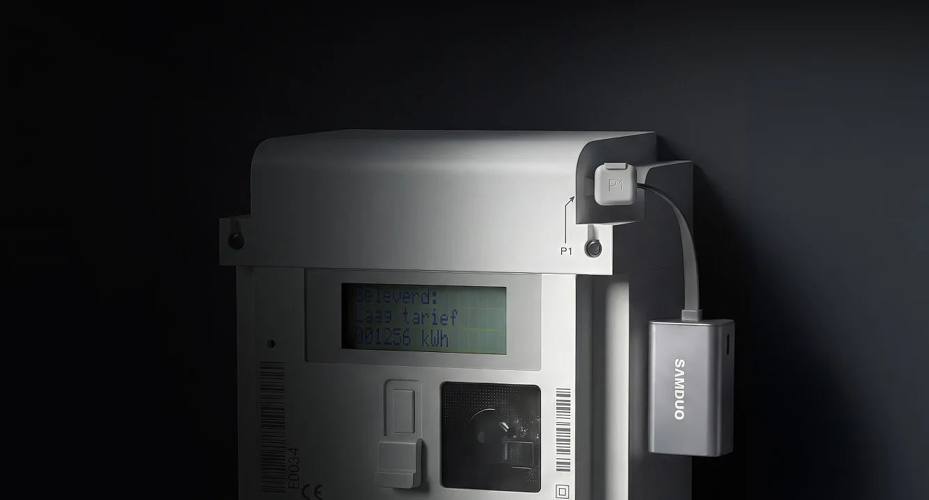 P1 Meter Seamless Integration